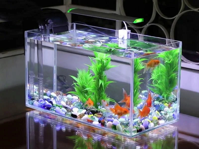 10+ ý tưởng decor bàn làm việc văn phòng độc đáo 7 Bể cá mini để g decor bàn làm việc văn phòng